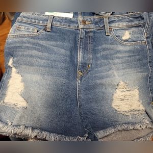 Guess Claudia High Rise Slit Shorts (31)